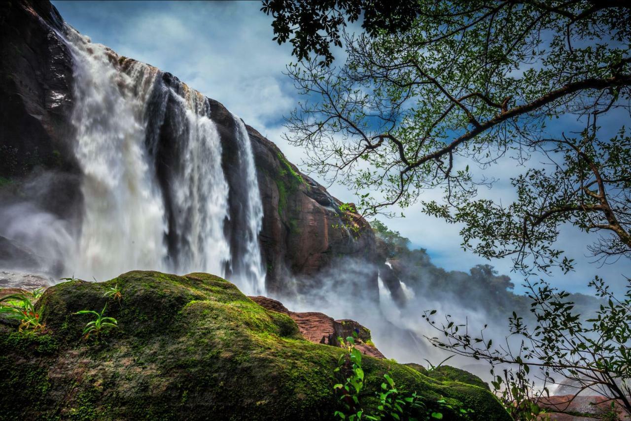 Niraamaya Retreats Samroha Athirappilly Ngoại thất bức ảnh